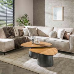 Nash salontafel set van 2 infinite - gerecycled teakhout fineer