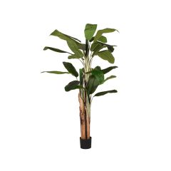 Kunstplant Musa / Bananenplant 110x110x180 cm