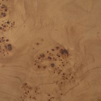Eleonora Salontafel Dorian - hout fineer