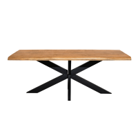 Starfurn Eettafel Denver 200 cm rechthoek