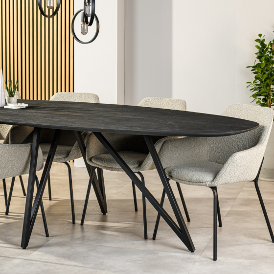 Dotan eettafel ovaal 240x110 cm