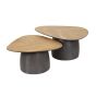 Nash salontafel set van 2 infinite - gerecycled teakhout fineer