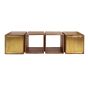 Kelsie dressoir 2D - brass/massief mango bruin