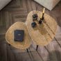 Dylan salontafel set van 2