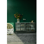 Boli dressoir