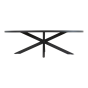 Murcia tafel ovaal 242x117cm
