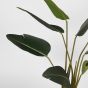 Strelitzia kunstplant 70x70x100 cm