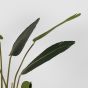 Strelitzia kunstplant 70x70x100 cm