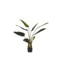 Strelitzia kunstplant 70x70x100 cm