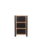 Brussels ladekast mangohout 45x30x75 cm