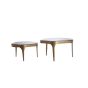 Avi salontafel set van 2 glas - smoke+antiek brons