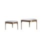 Avi salontafel set van 2 glas - smoke+antiek brons