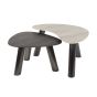 Cattaneo organische salontafels - set van 2 - travertin look