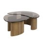 Caruso organische salontafels - set van 2 - smoked glass