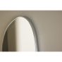 Salvo organische spiegel - 40 x 65 cm - zilver