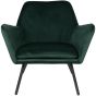 Berg fauteuil velvet