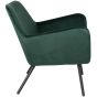 Berg fauteuil velvet