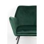 Berg fauteuil velvet