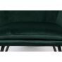 Berg fauteuil velvet