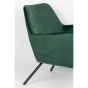 Berg fauteuil velvet