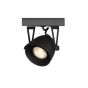 LED Spot Cap 1-lichts
