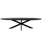 Eettafel Brandy ovaal 210 cm - zwart