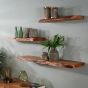 Wandplank Edwin 60 cm - OUTLET B
