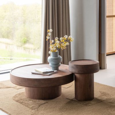 Woood Dara salontafel mangohout - bruin