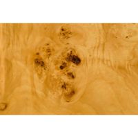 Quinn salontafel - naturel/bruin