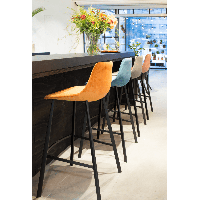 Barstoel Franky Velvet