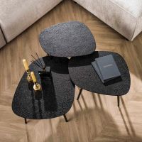 Fraaai Kiran organische salontafels - set van 3 - metallic - grijs