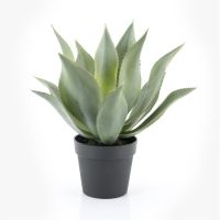 By-Boo Kunstplant Agave - groot