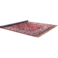 Vloerkleed Bid 170x240 cm