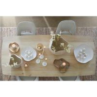 Light & Living Quenza eettafel 220x100x76 cm - mangohout naturel