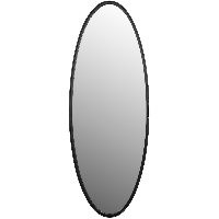 Spiegel Matz Ovaal L 