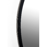 Spiegel Matz Ovaal L 