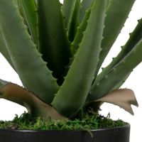 Woood Aloë Vera Kunstplant Groen 46 cm