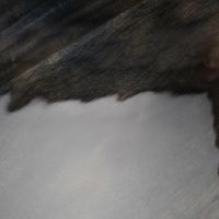 Phyllis bijzettafel set van 3