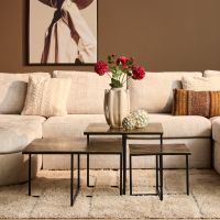 Joelle salontafel set van 3 - cognac