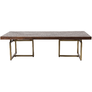 Class salontafel 120x60x35 cm bruin/goud van het woonmerk Dutchbone