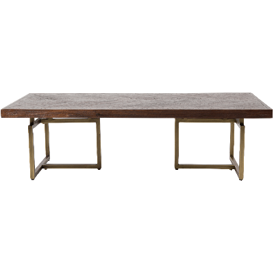 Class salontafel 120x60x35 cm bruin/goud van het woonmerk Dutchbone